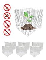 Algopix Similar Product 14 - 6 New Small Wire Plant Protectors 12