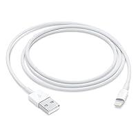 Algopix Similar Product 7 - Apple Lightning to USB Cable (1 m)