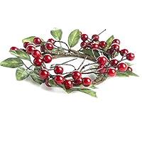 Algopix Similar Product 17 - Factory Direct Craft Pair of Artificial