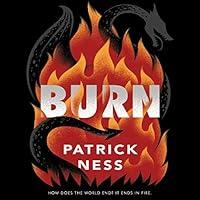 Algopix Similar Product 19 - Burn