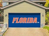 Algopix Similar Product 3 - Victory Corps 7 X 16 Double Garage