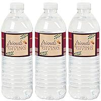 Algopix Similar Product 7 - Big Dot of Happiness Friends