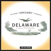 Algopix Similar Product 17 - Delaware - a Subtle Spectacular