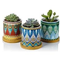 Algopix Similar Product 11 - Greenaholics Succulent Planter Pots3