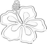 Algopix Similar Product 6 - Cruiser Accessories 83023 Hibiscus