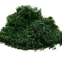 Algopix Similar Product 3 - Byher 92926 Preserved Forest Moss