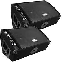 Algopix Similar Product 18 - Seismic Audio  FL12MPPWPair  Pair