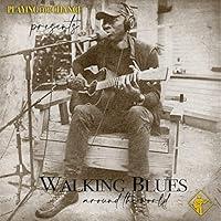Algopix Similar Product 20 - Walking Blues