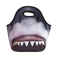 Algopix Similar Product 6 - Coloranimal Cool Animal Shark Pattern