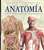 Algopix Similar Product 4 - Atlas ilustrado de anatoma Spanish