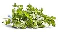 Algopix Similar Product 3 - Herb Cilantro Organic, 1 Bunch