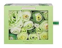 Algopix Similar Product 12 - Heathcote  Ivory Lily of the Valley