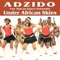 Algopix Similar Product 18 - Under African Skies