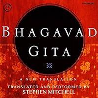 Algopix Similar Product 19 - Bhagavad Gita: A New Translation