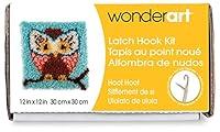 Algopix Similar Product 18 - Wonderart Hoot Latch Hook Kit, 12" X 12"