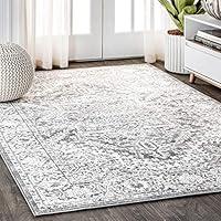 Algopix Similar Product 6 - JONATHAN Y MDP100A4 Modern Persian