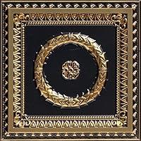 Algopix Similar Product 20 - From Plain To Beautiful In Hours