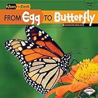 Algopix Similar Product 19 - From Egg to Butterfly
