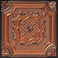 Algopix Similar Product 10 - From Plain To Beautiful In Hours 258