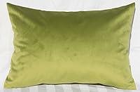 Algopix Similar Product 6 - TangDepot Solid Velvet Throw Pillow