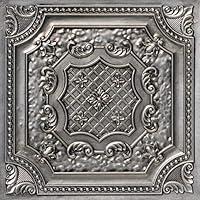 Algopix Similar Product 6 - From Plain To Beautiful In Hours