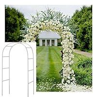 Algopix Similar Product 8 - Adorox 75Ft 1 Set White Metal Arch