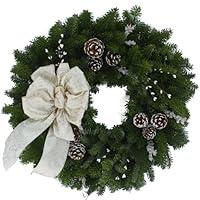 Algopix Similar Product 3 - Worcester Wreath 24Inch Winter