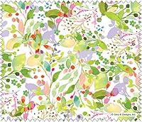 Algopix Similar Product 4 - Gina B Microfiber Cleaning Cloth for