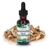 Algopix Similar Product 6 - Natures Answer AlcoholFree