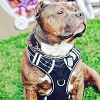 Algopix Similar Product 14 - Big Dog Harness No Pull Adjustable Pet
