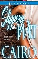 Algopix Similar Product 12 - Slippery When Wet A Novel Zane