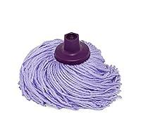 Algopix Similar Product 9 - Rayen 042241 Merys Microfiber Mop