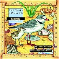 Algopix Similar Product 5 - Seashore (One Small Square)