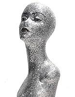 Algopix Similar Product 6 - Silver female Mannequin Head