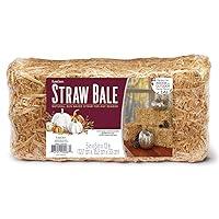 Algopix Similar Product 20 - FloraCraft Decorative Straw Bale 5 Inch
