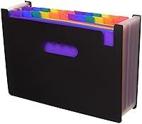 Algopix Similar Product 3 - 24 Pockets Expanding Files Folder A4