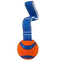 Algopix Similar Product 15 - ChuckIt Ultra Tug Dog Toy Small Fetch