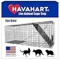 Algopix Similar Product 16 - Havahart 1079 Large Live Animal