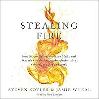 Algopix Similar Product 18 - Stealing Fire How Silicon Valley the