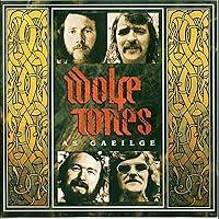 Algopix Similar Product 13 - As Gaeilge