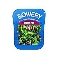 Algopix Similar Product 8 - Bowery Spring Mix Lettuce