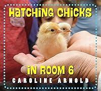 Algopix Similar Product 19 - Hatching Chicks in Room 6 Life Cycles