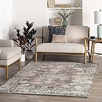 Algopix Similar Product 11 - nuLOOM Vintage Corene Flora Area Rug