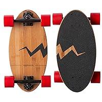 Algopix Similar Product 15 - Eggboards Mini Longboard The Original 