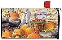 Algopix Similar Product 19 - Briarwood Lane Harvest Farm Fall