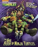 Algopix Similar Product 4 - The Big Book of Ninja Turtles Teenage
