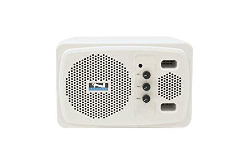 Algopix Similar Product 1 - Anchor Audio White AN130 speaker with