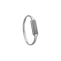 Algopix Similar Product 4 - Fitbit Flex 2 Accessory Bangle Silver