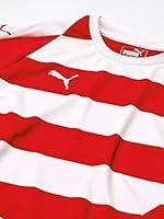 Algopix Similar Product 1 - PUMA Unisex Liga Stripe Jersey Youth