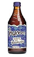 Algopix Similar Product 13 - Humm Kombucha, Blueberry Mint, 14 fl oz